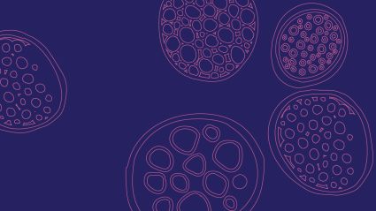 Decorative pattern of circular shapes with intricate geometric designs on a deep purple background